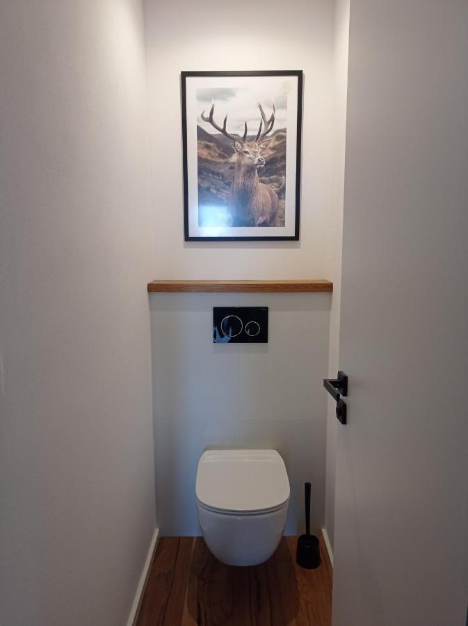 Jeleni Apartman Rychlebske Stezky Černá Voda Esterno foto